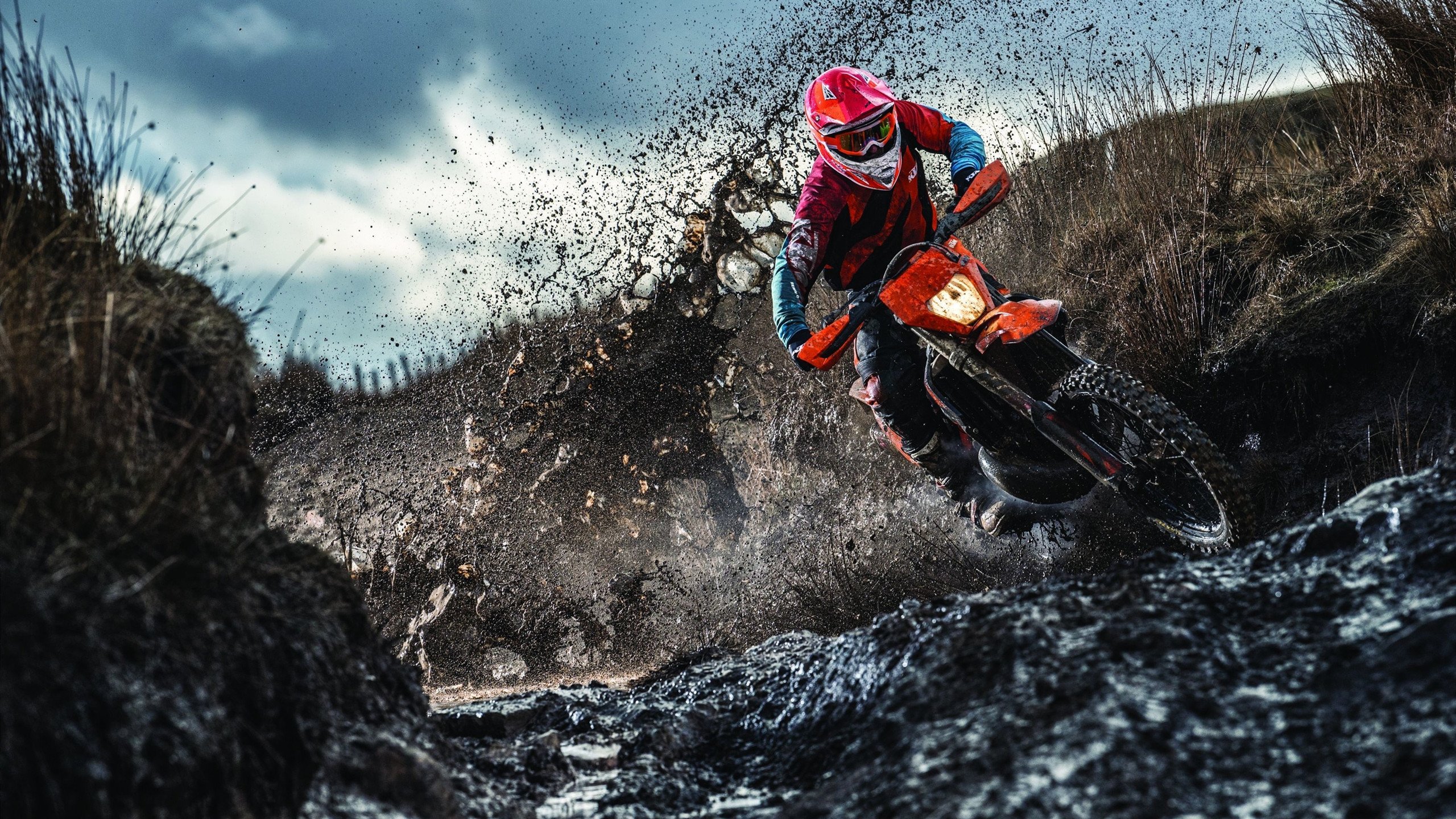 【穆基·贝茨的闪耀夜晚】道奇核心多次抢占排行榜榜首，穆奇-贝茨